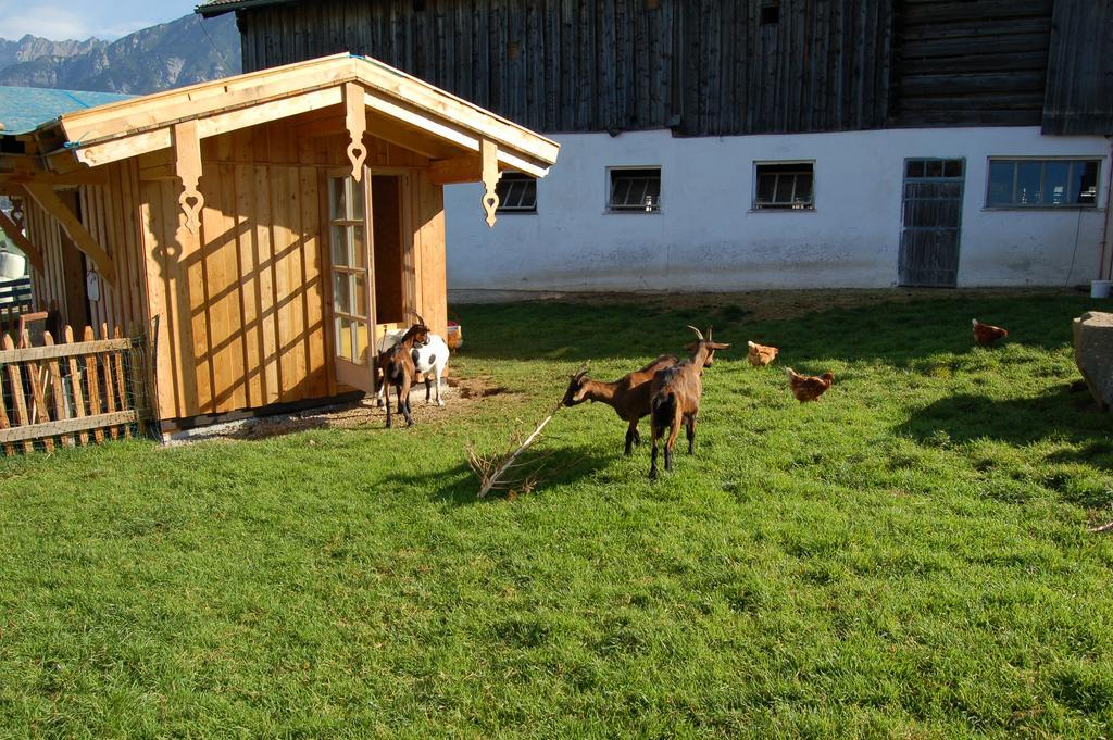Stillinghof Farm stay